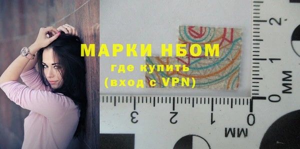 хмурый Богородицк