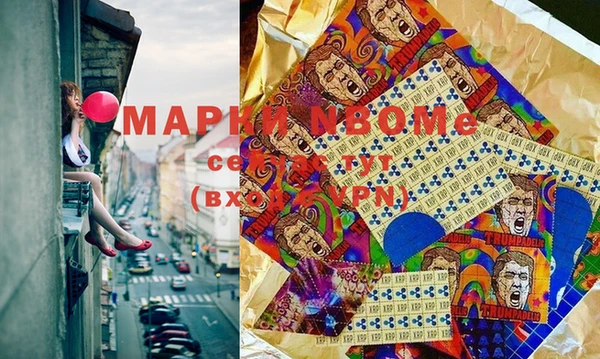 индика Беломорск