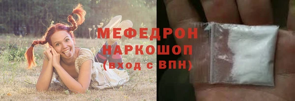 индика Беломорск