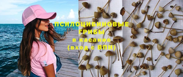 бутират Бородино